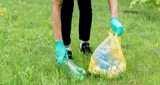 Tánczos Barna: undă verde în Senat pentru „Ziua de Curățenie Națională Tánczos Barna: undă verde în Senat pentru „Ziua de Curățenie Națională